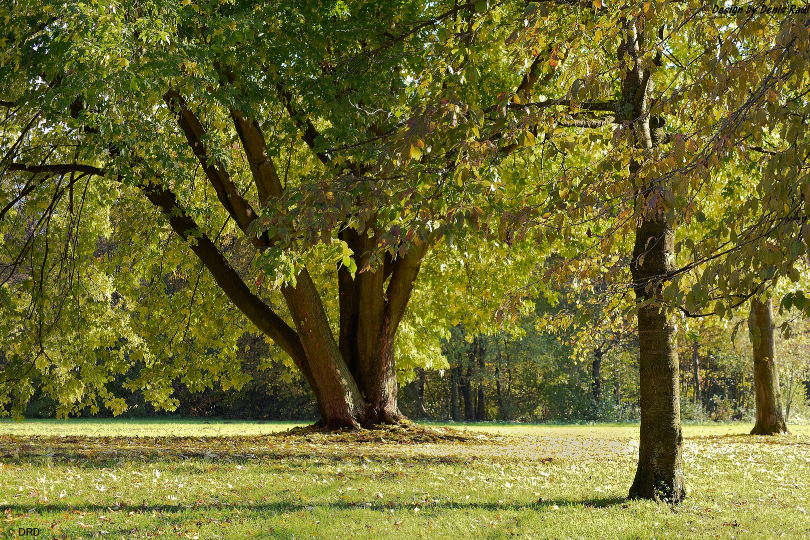 An einem wunderschönem Herbsttag in Freiburg