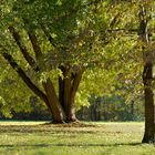 An einem wunderschönem Herbsttag in Freiburg