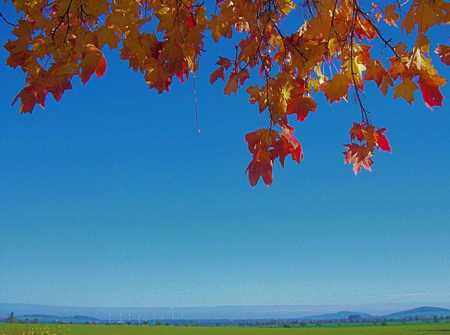 An einem wunderschönen Herbsttag in Barsinghausen.