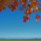 An einem wunderschönen Herbsttag in Barsinghausen.