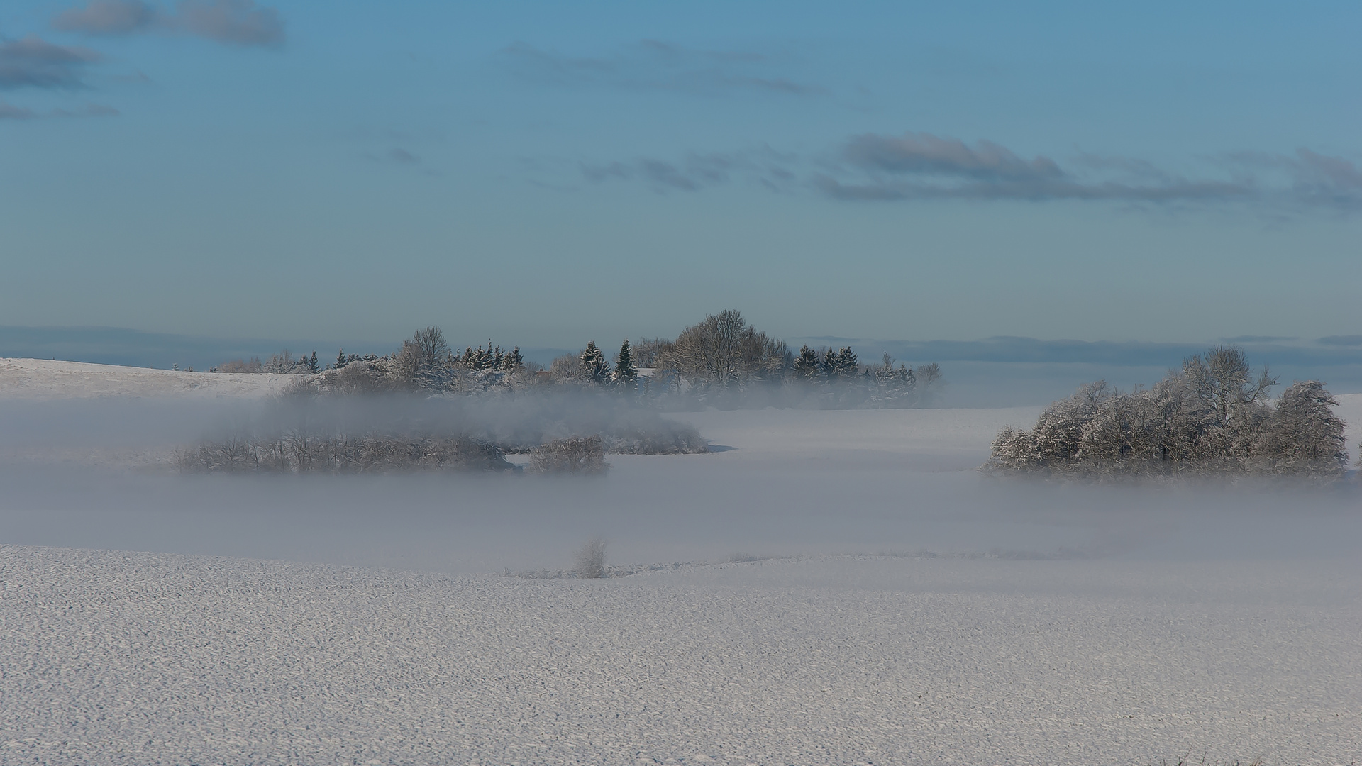 an einem wunderschönen Morgen