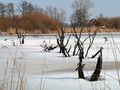 Winter-Landschaft