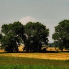 an einen ganz normalen sommertag