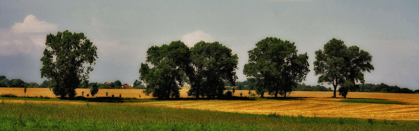 an einen ganz normalen sommertag