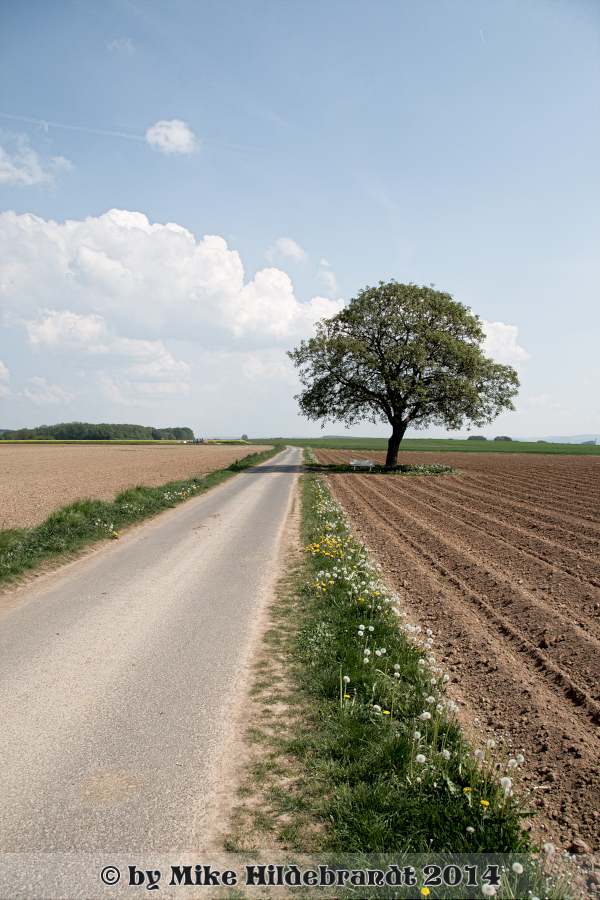 An einen sonnigen vormittag