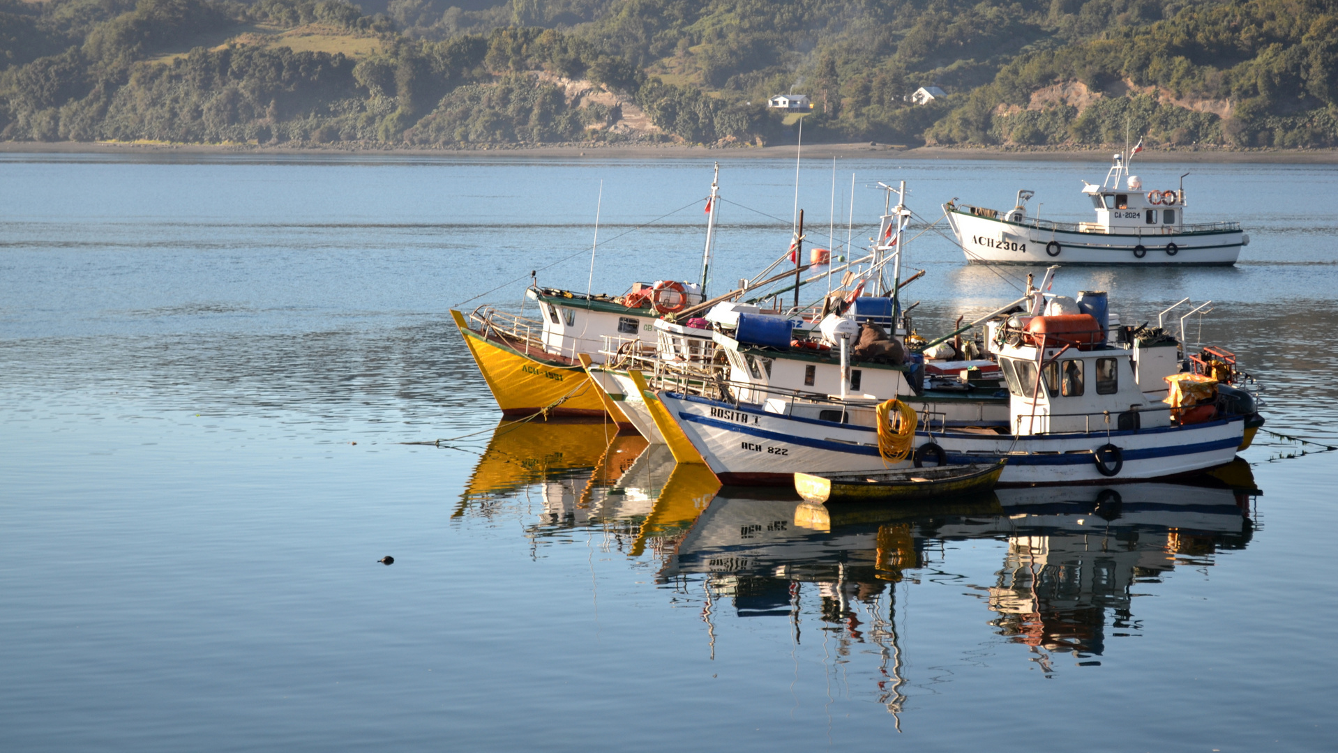 An einer einsamen Bucht...