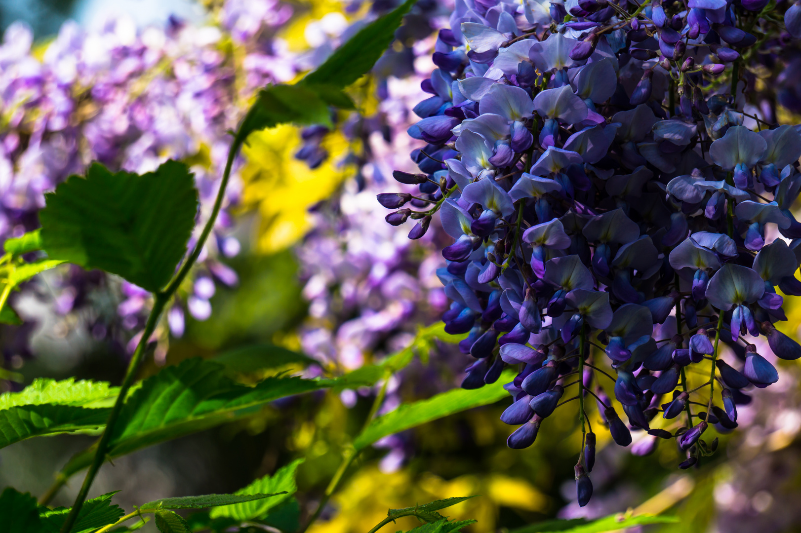 An einer Gartenlaube