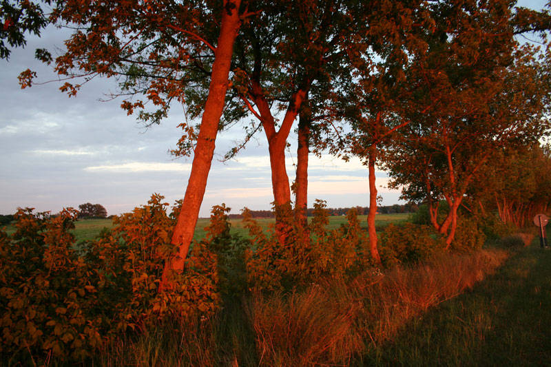 An einer Landstraße