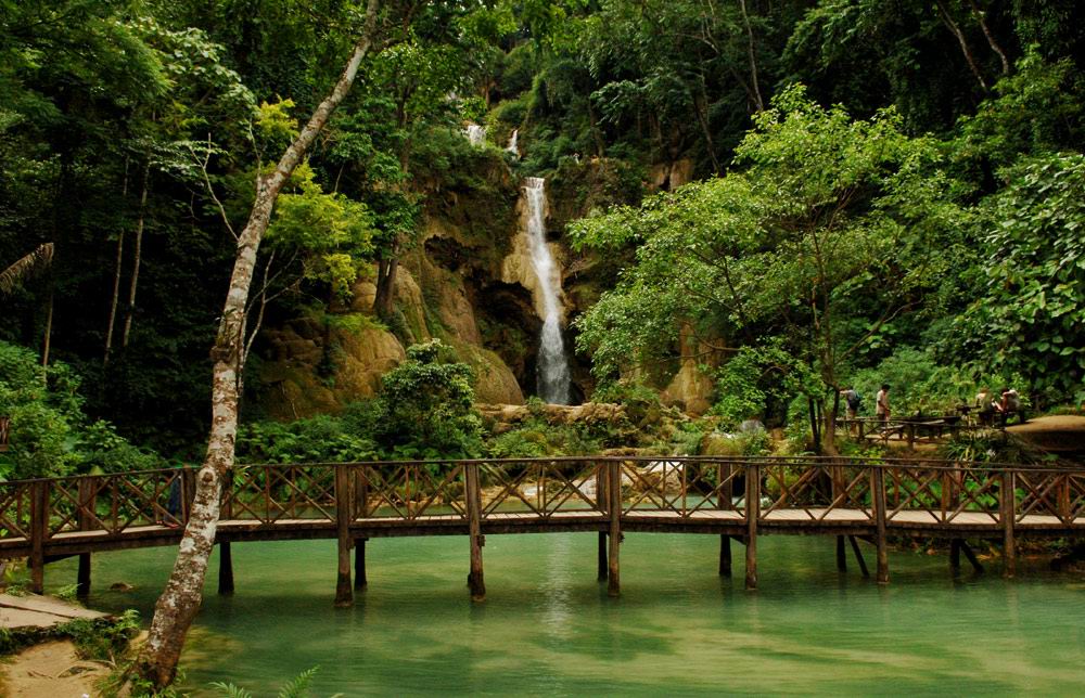 An enchanted forest in Lao's Long Story Within.