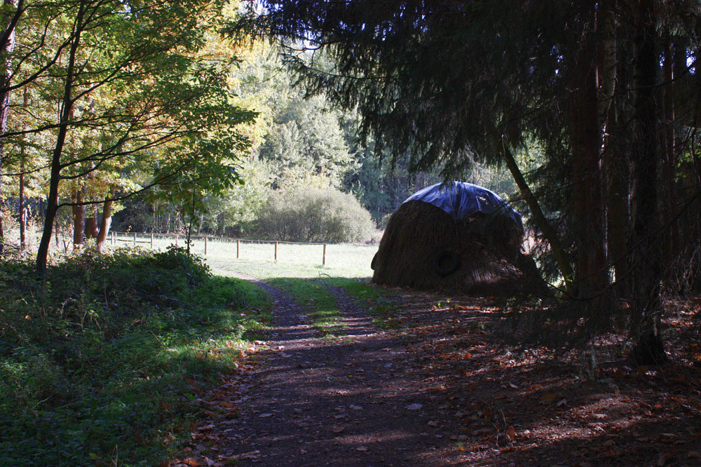 An Ende jedes Tunnels ist ein Licht