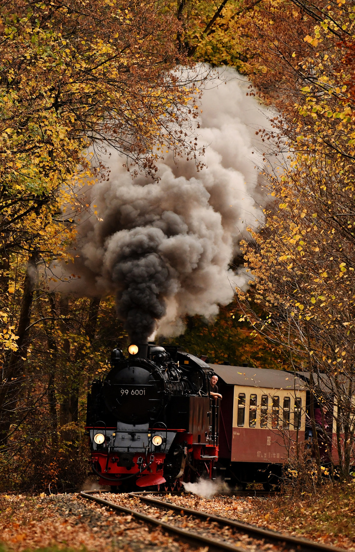 An Evening Train in the Late Autumn