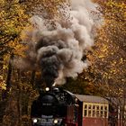 An Evening Train in the Late Autumn