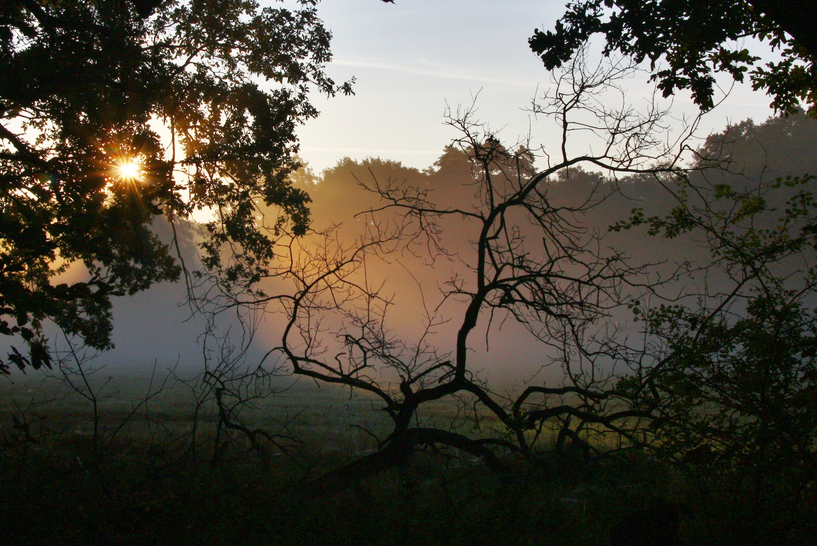 An frühen Herbst-morgen 