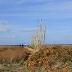 an goldenen pricken ins watt