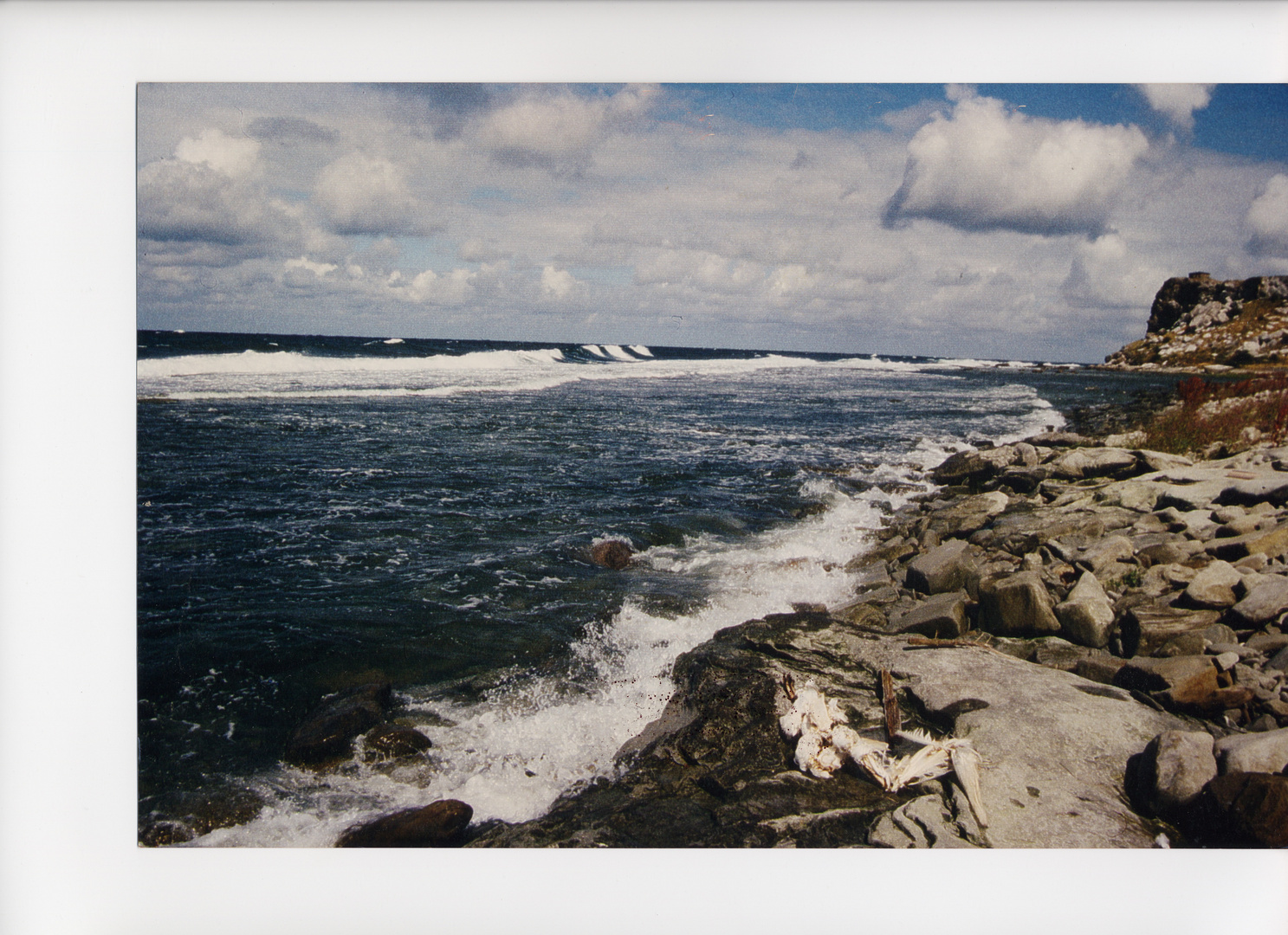 An Gotlands Küste nach dem Sturm - Vanitas - Gedenke des Todes