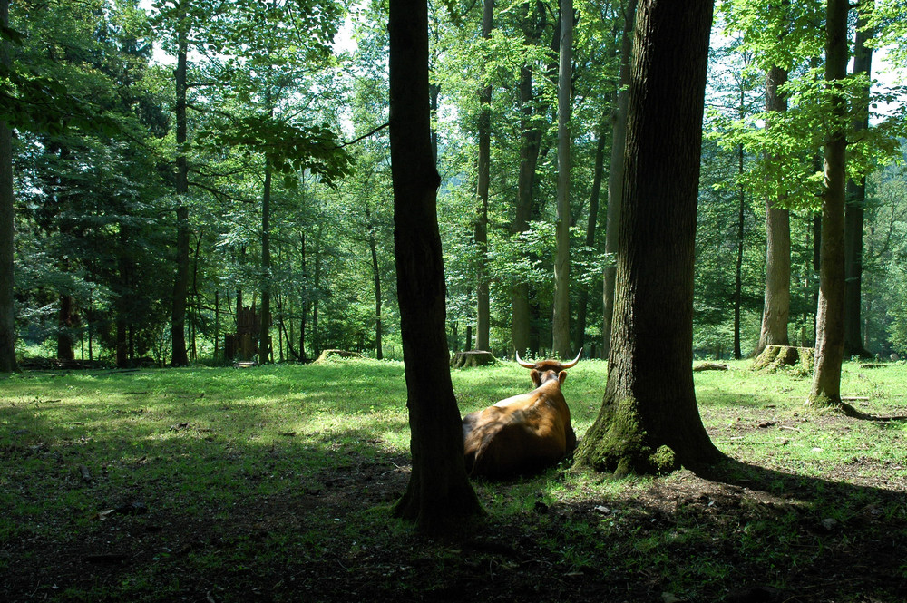 An heißen Tagen