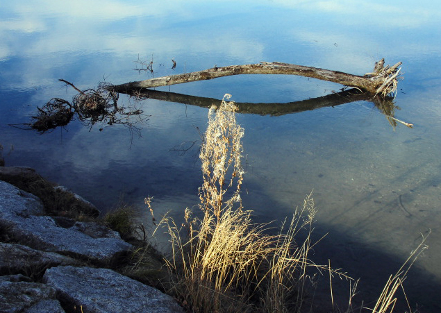 An, in der Isar