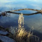 An, in der Isar