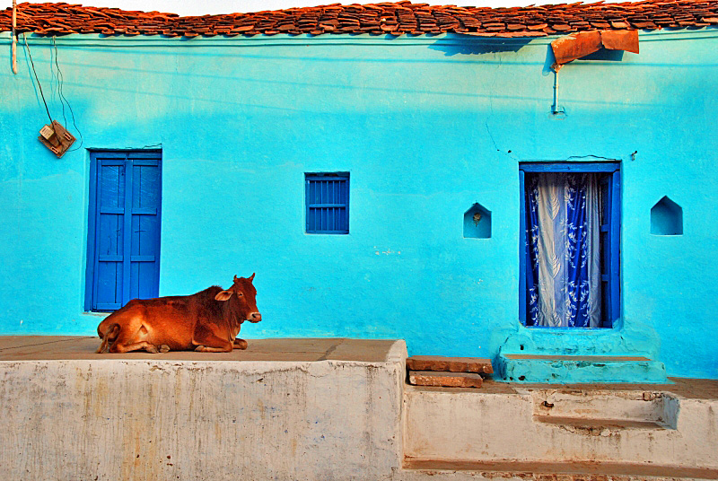 An indian house(Una casa indiana)