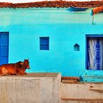 An indian house(Una casa indiana)