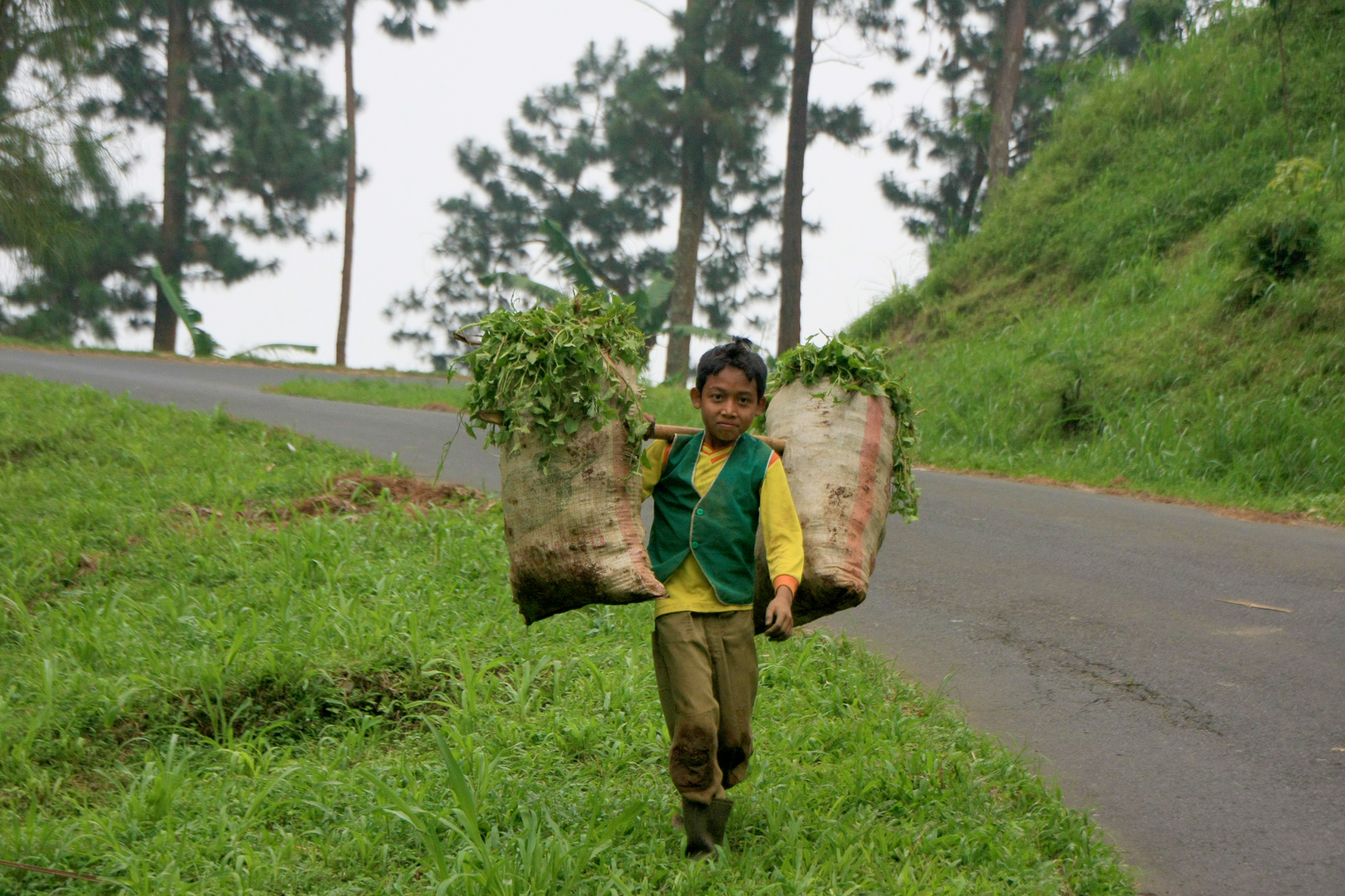 An irgendeiner Strasse Richtung Bromo