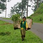 An irgendeiner Strasse Richtung Bromo