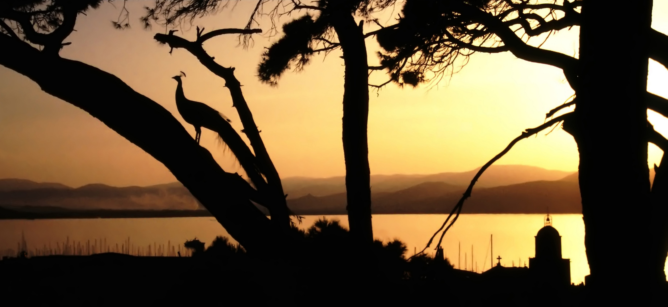 an jedem Spätnachmittag Begrüßung in St. Tropez