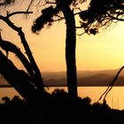 an jedem Spätnachmittag Begrüßung in St. Tropez