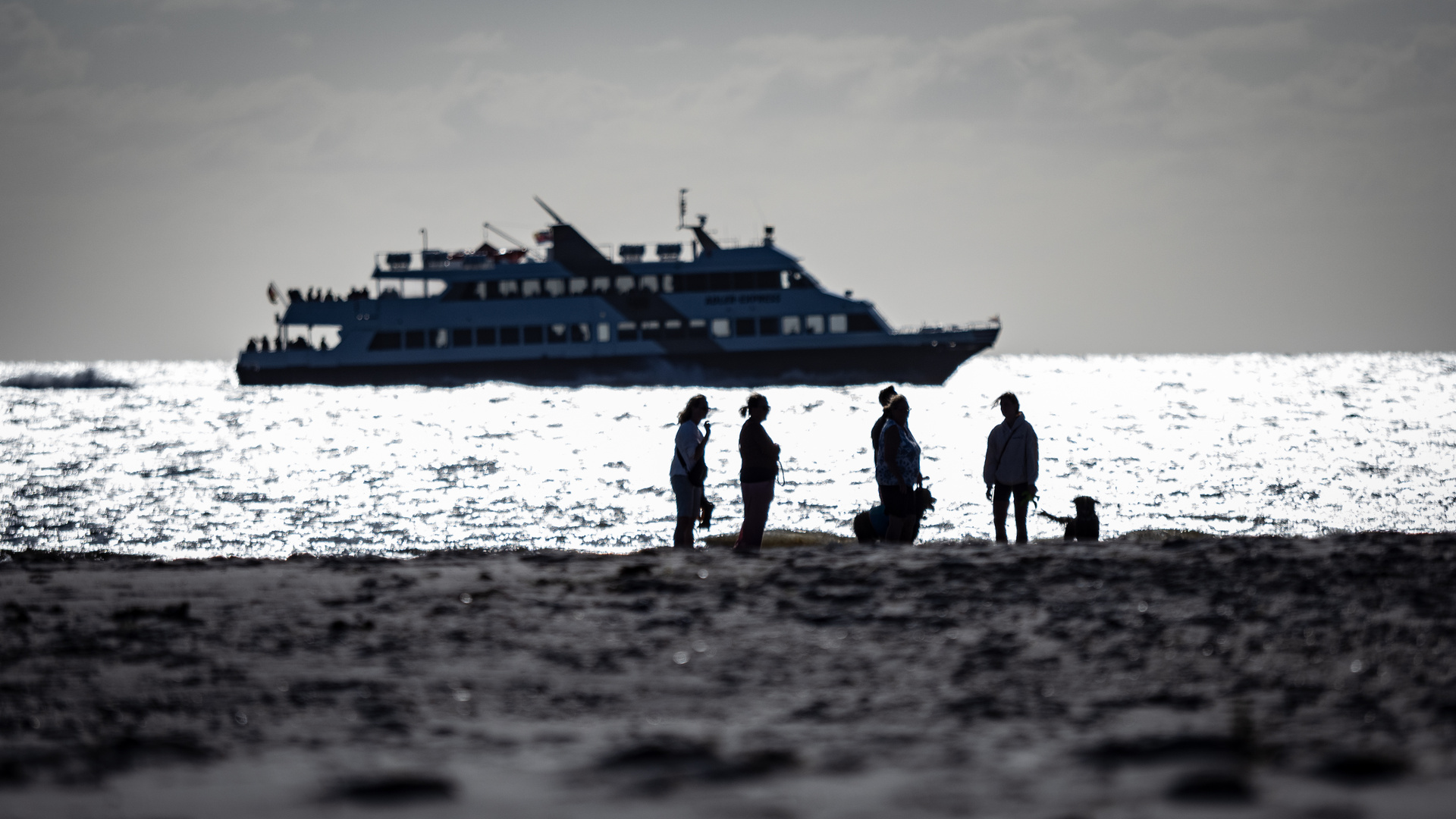 An Land und auf dem Wasser