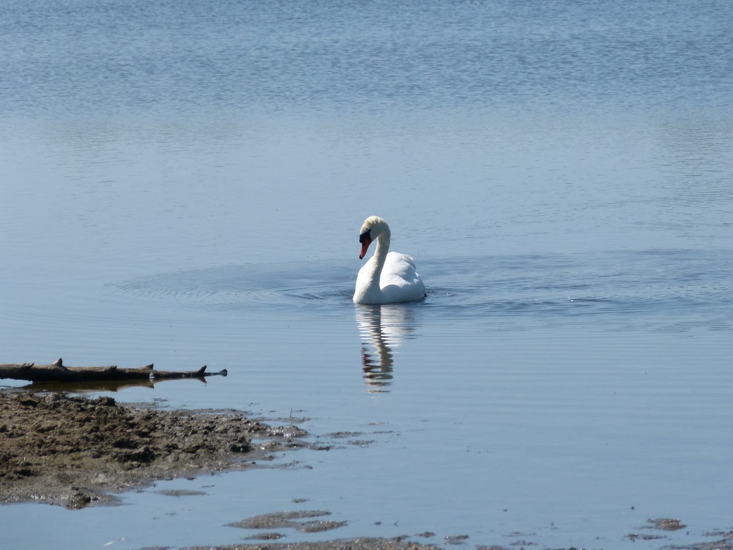 an Land und im Wasser