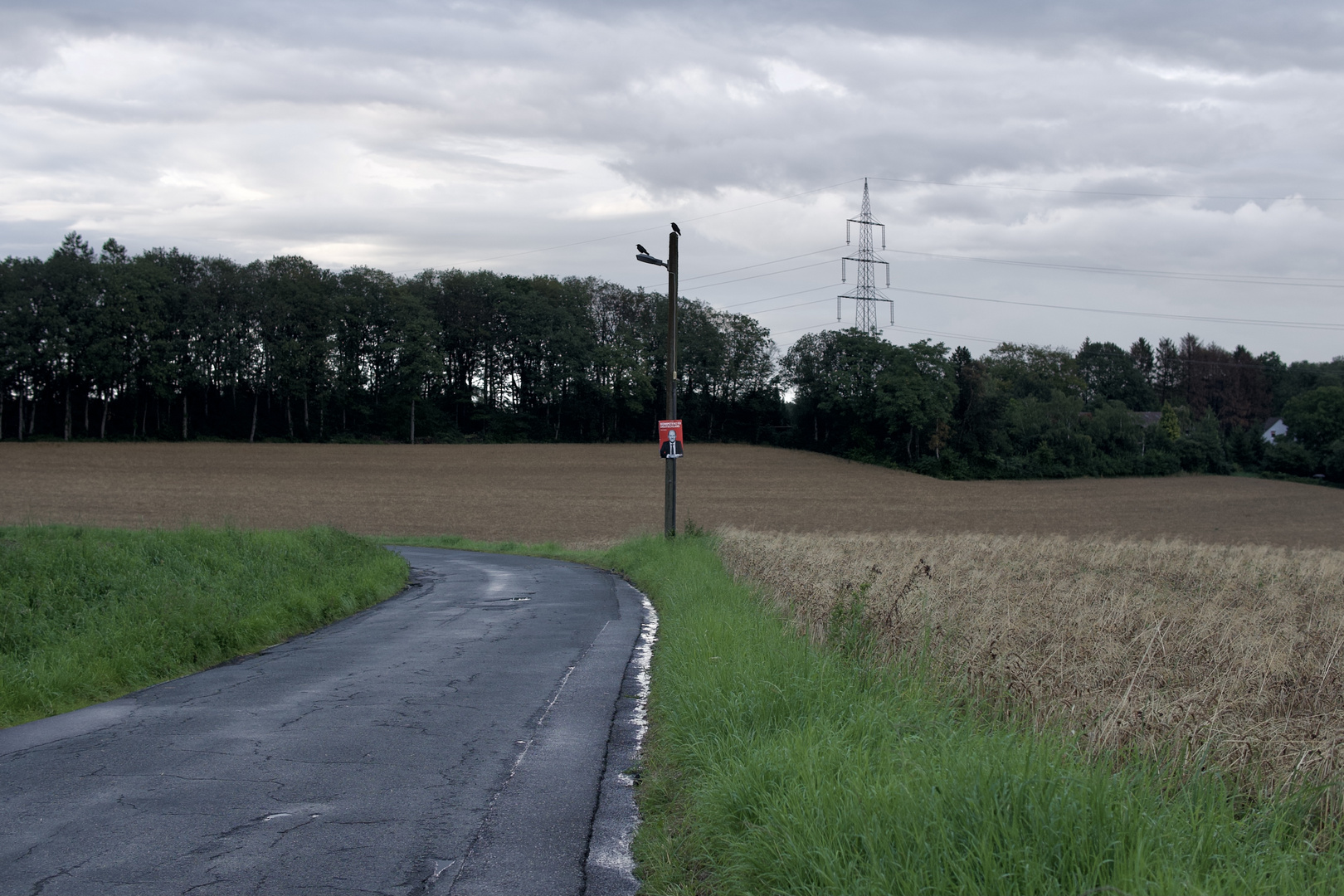 An Linkskurve entdeckt: Kompetenz für Deutschland.