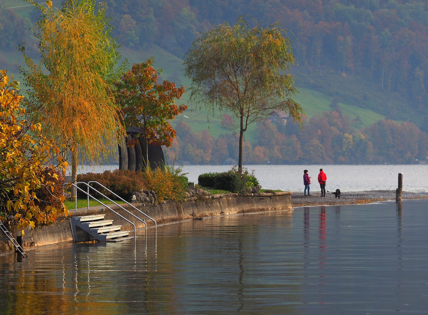 an meinem see