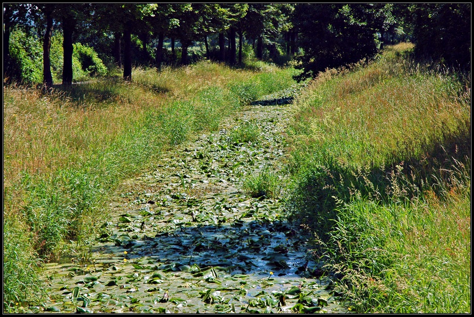 An meinem Wege fließt der Bach