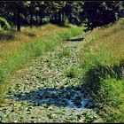 An meinem Wege fließt der Bach