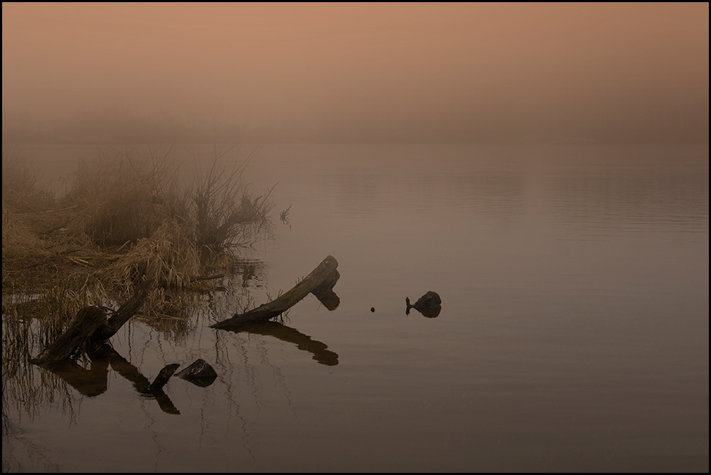 An "meiner" Elbe