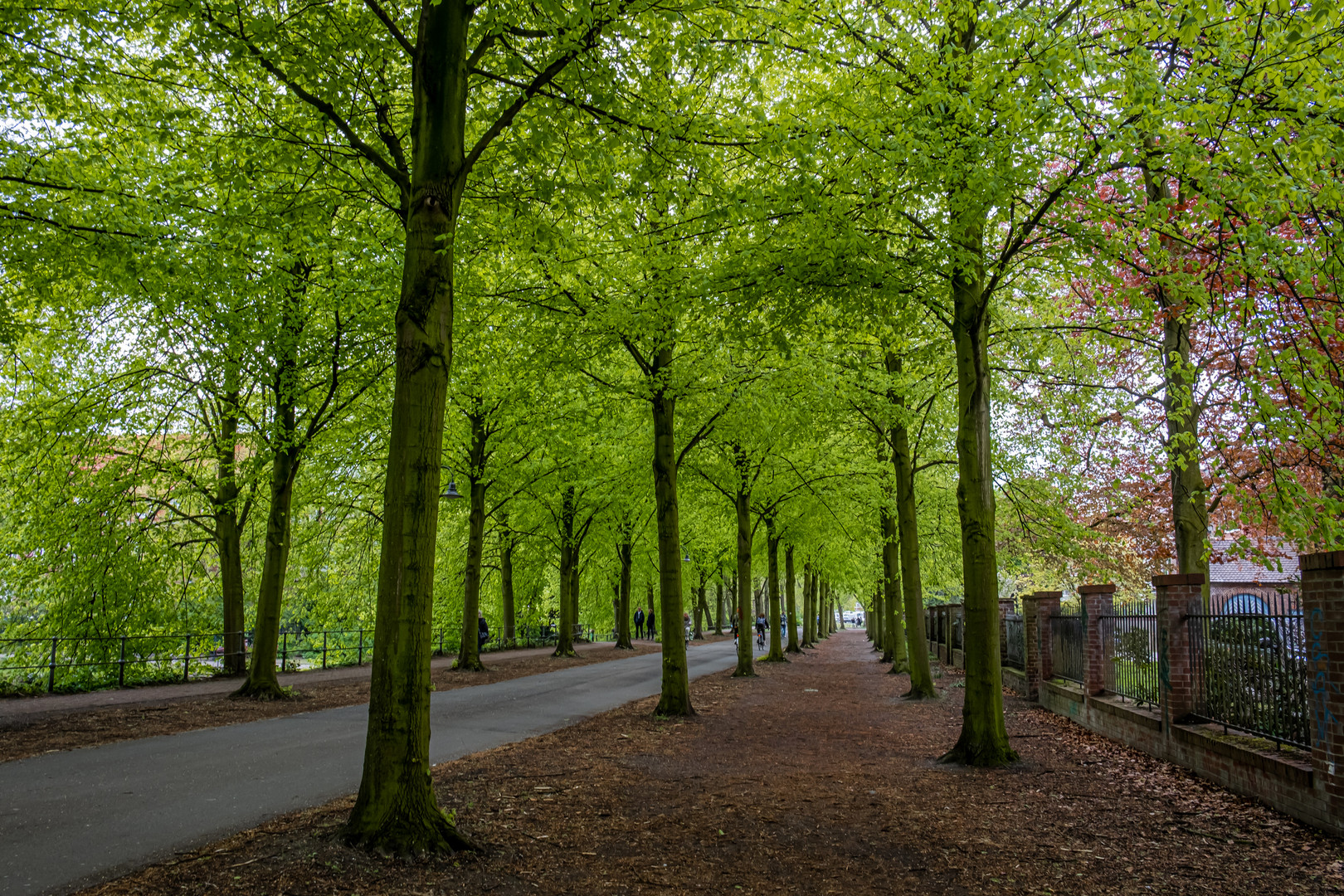 An Münsters Promenade