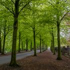 An Münsters Promenade