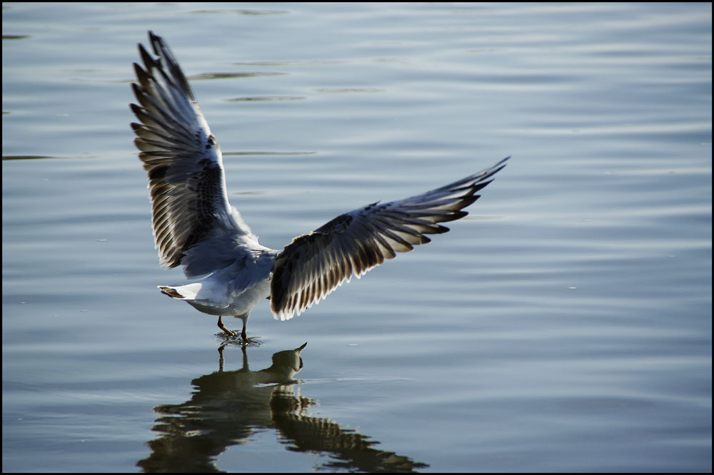 An - oder Abflug?