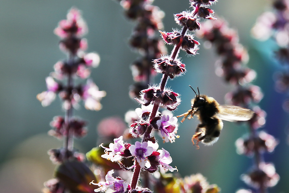 An- oder Abflug ...