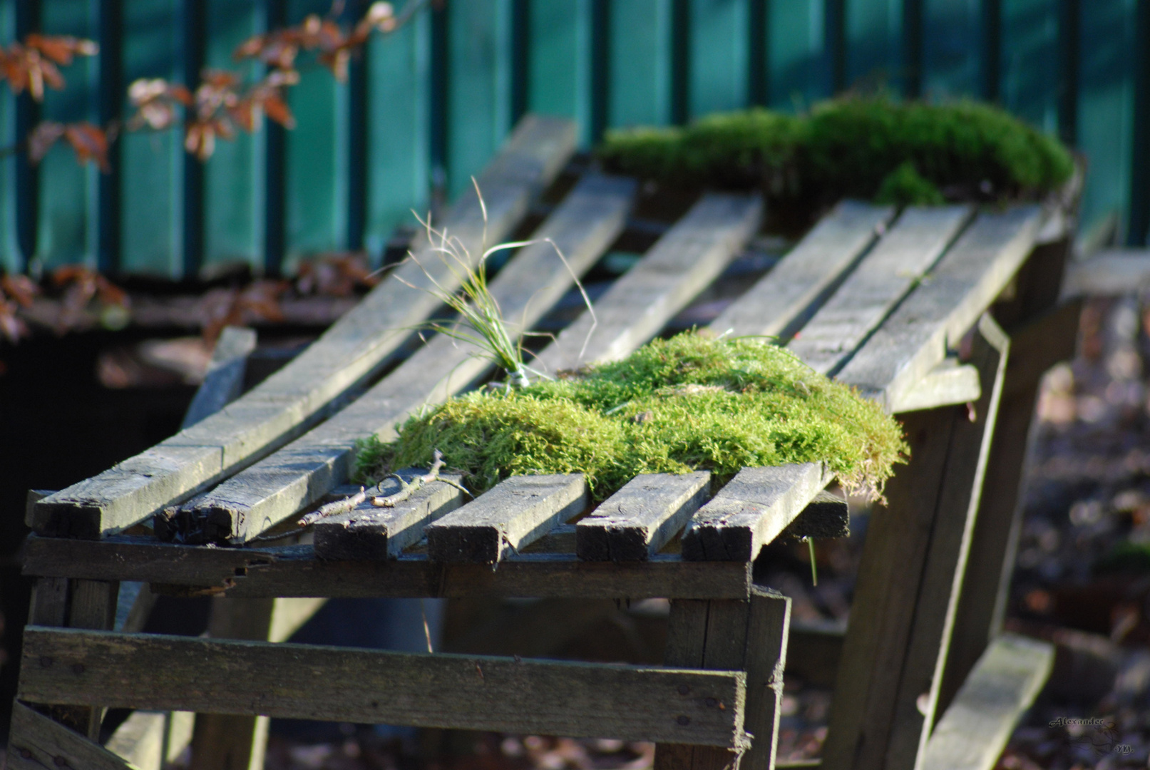 an old bank with moss in sunshine