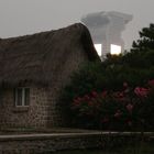 An Old House And a New Nower In Beijing