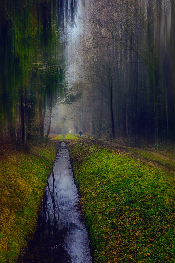 An old man walks alone in the rain in the dark forest........but he goes!