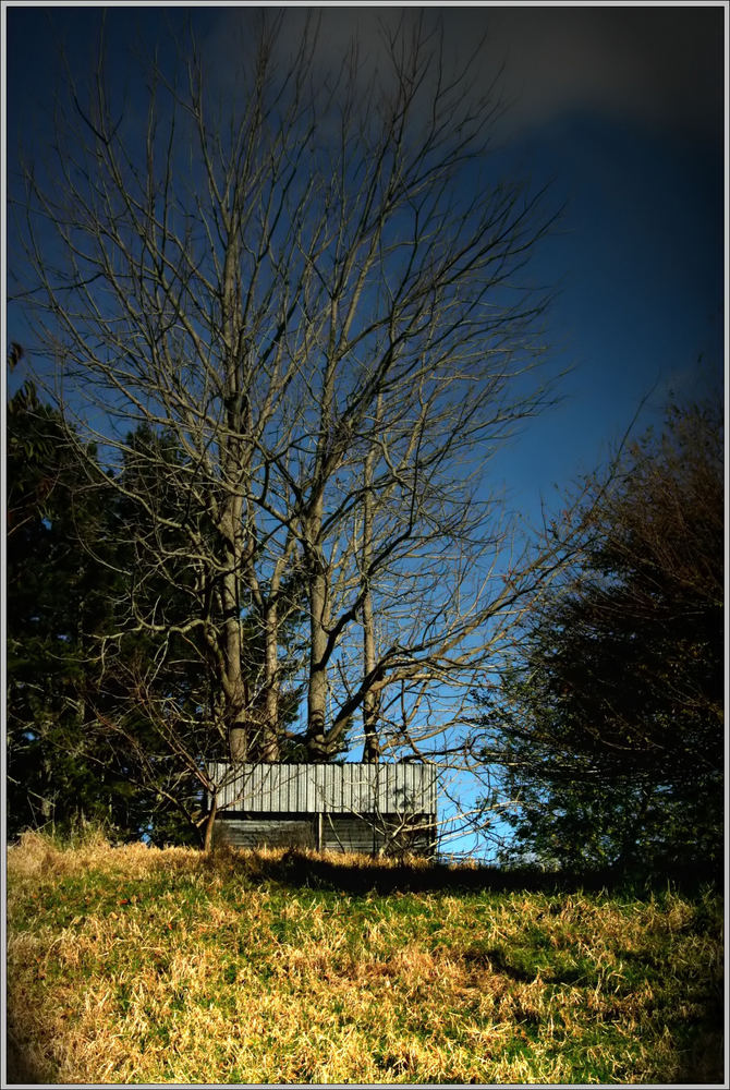 an old shack