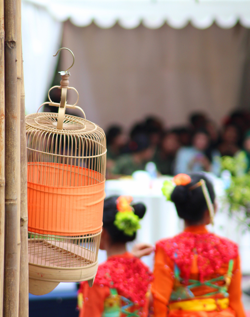 an orange bird cage and dancers