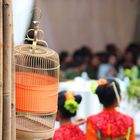 an orange bird cage and dancers