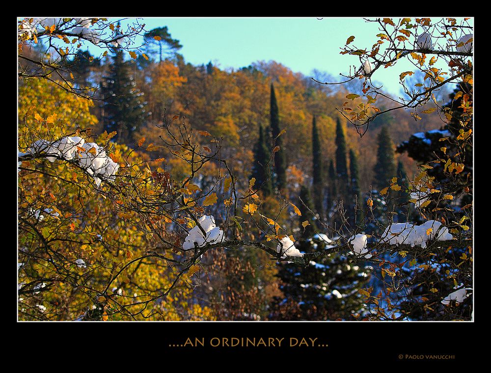 ...an ordinary day....