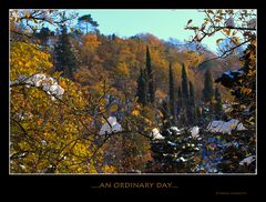 ...an ordinary day....