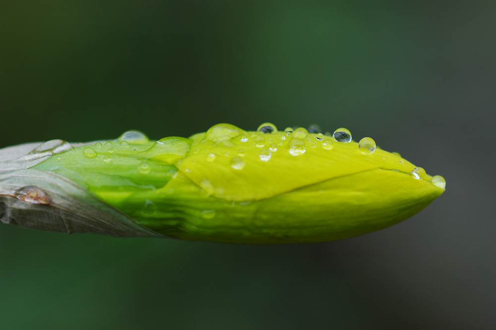 An Ostern geschlossen…