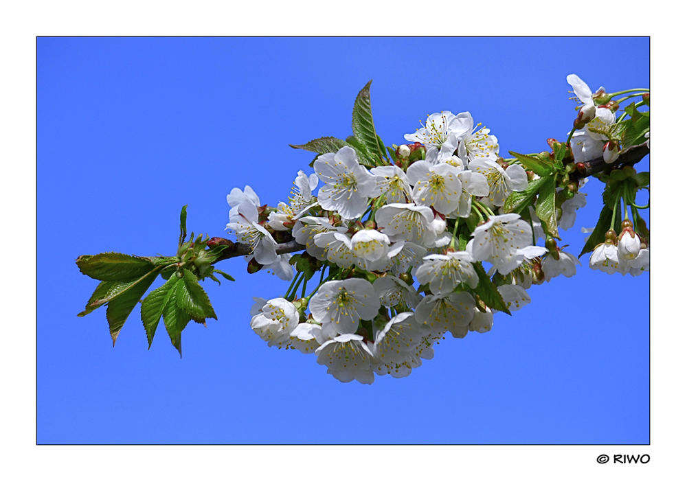 an Ostern schien die Sonne...........