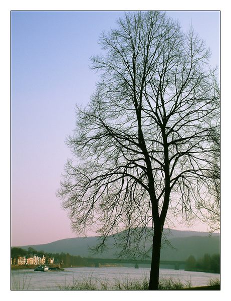 An Rhein in Koblenz